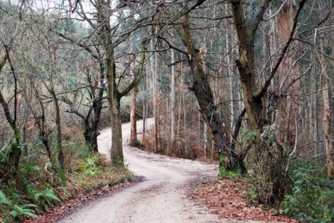 Camino de Santiago
